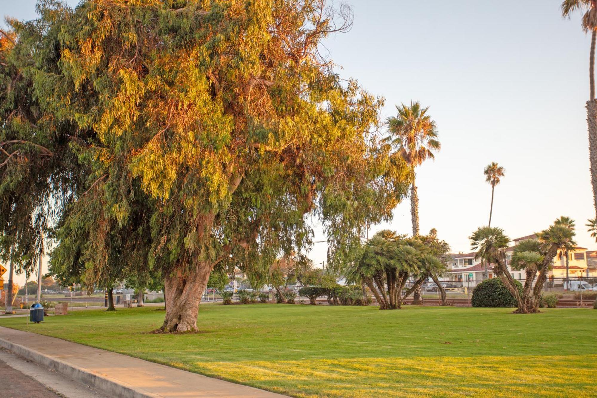 1 Block From - Steps From Restaurants & Shops Appartement Oceanside